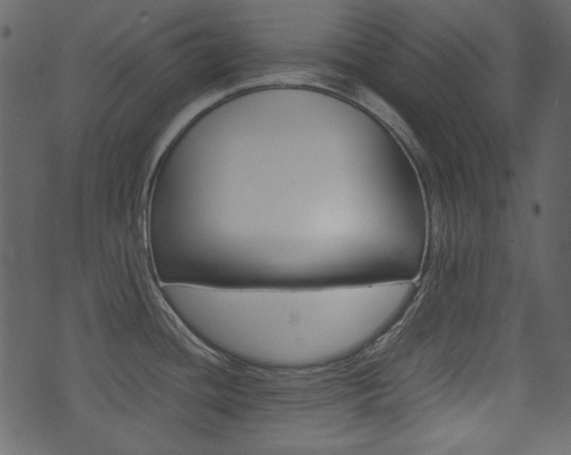 X0000074331436200608251009