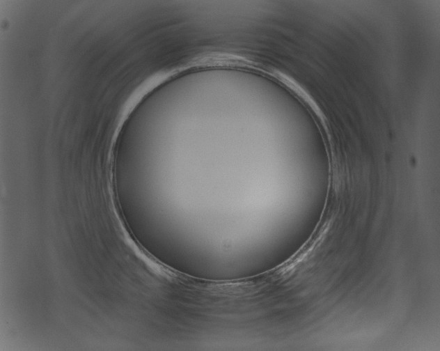 X0000074331437200608251009
