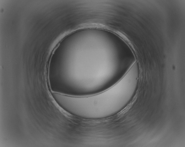 X0000074331438200608251009