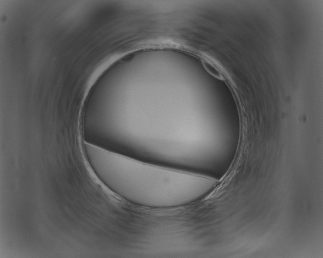 X0000074331440200608251009