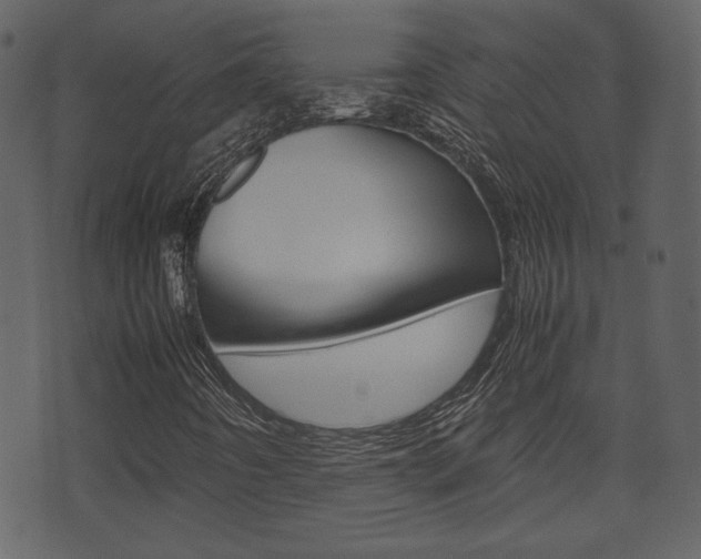 X0000074331442200608251008
