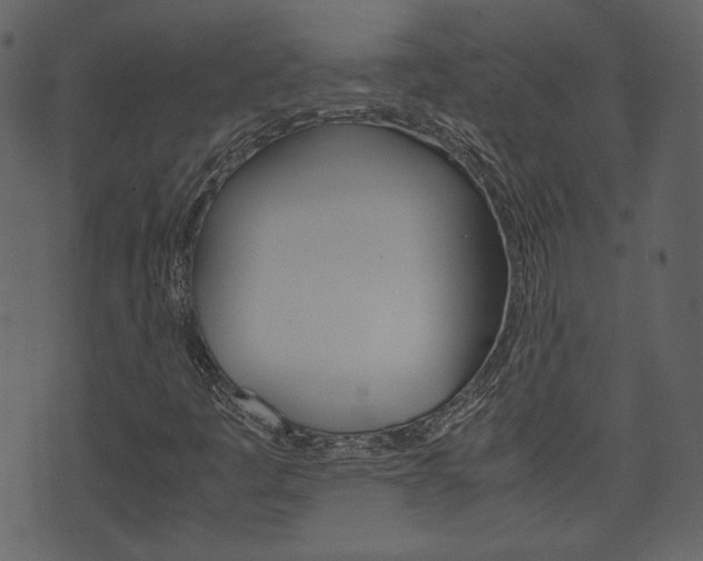 X0000074331445200608251008