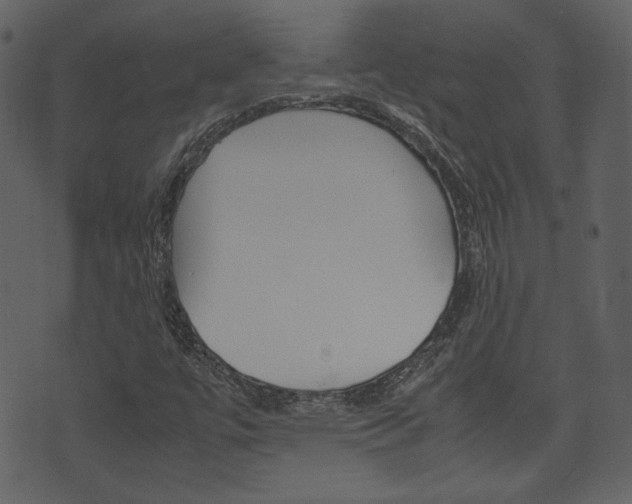 X0000074331447200608251008