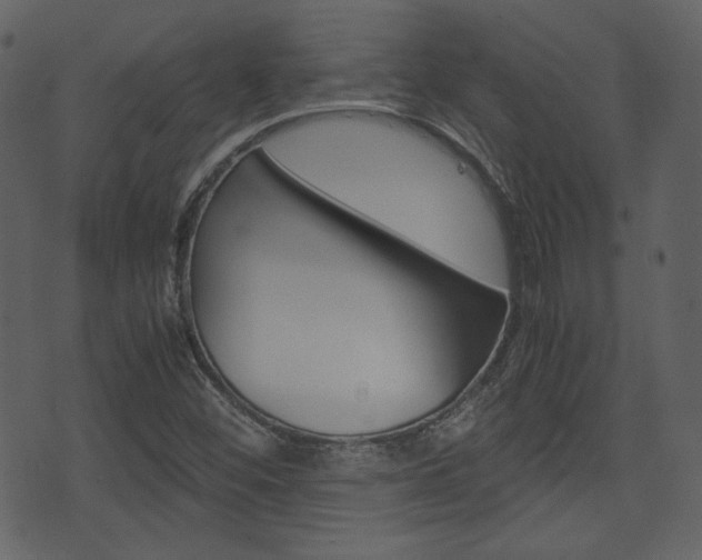 X0000074331452200608251008