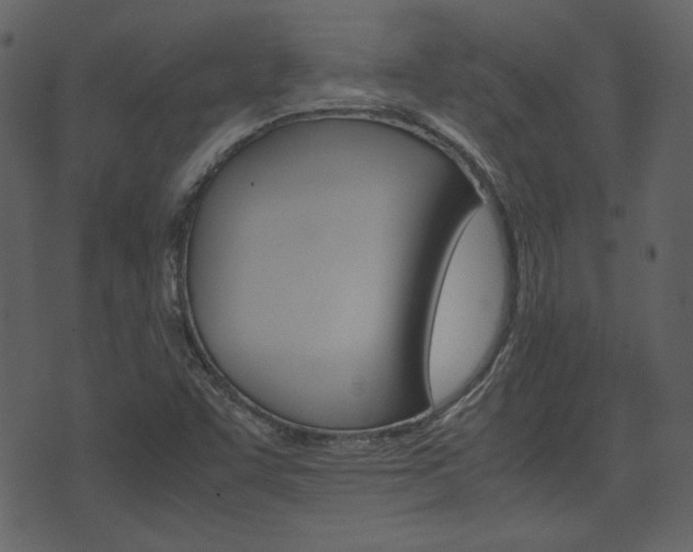 X0000074331455200608251008