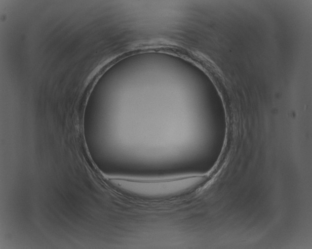 X0000074331457200608251008
