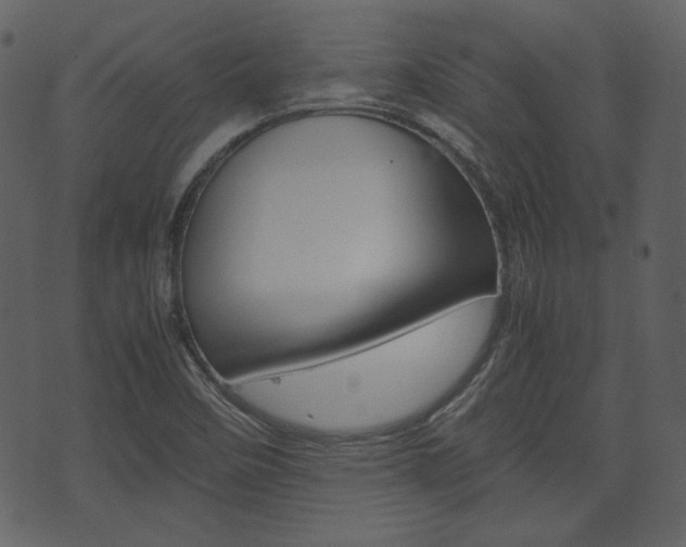 X0000074331458200608251008
