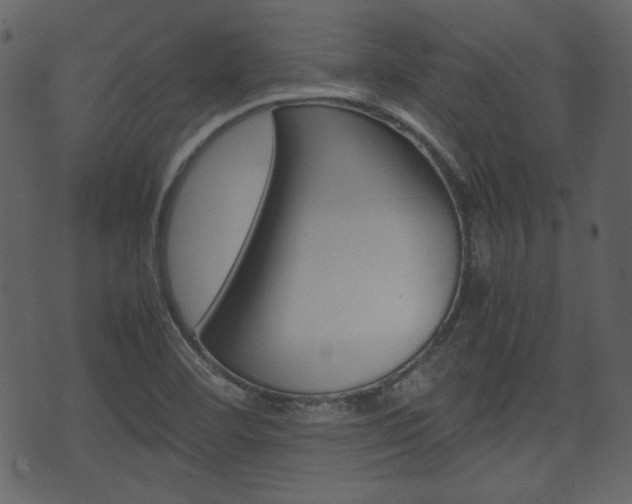 X0000074331460200608251008