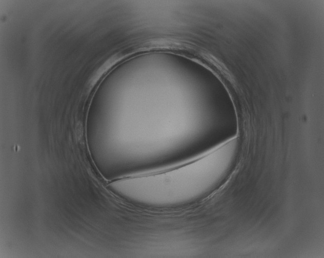 X0000074331465200608251008