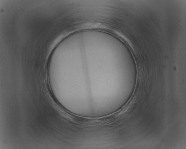 X0000074331467200608251008