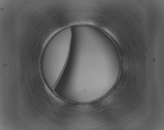X0000074331468200608251008