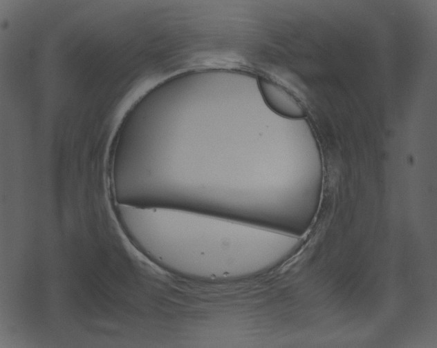 X0000074331471200608251008