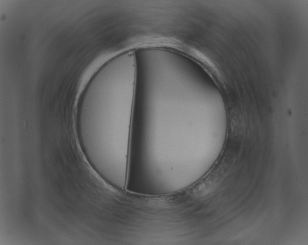 X0000074331472200608251008