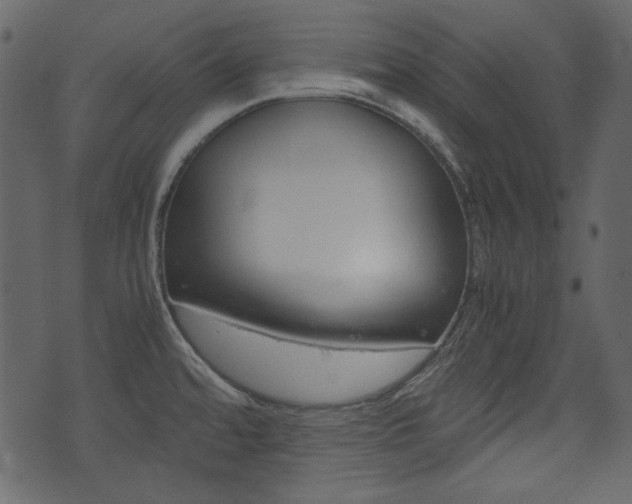 X0000074331480200608251008