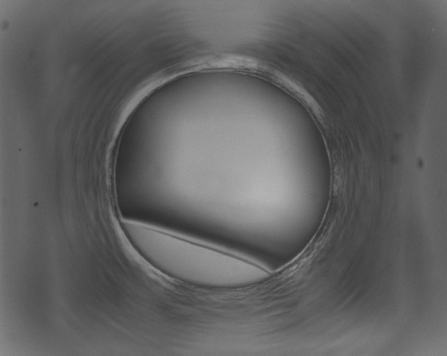 X0000074331483200608251008