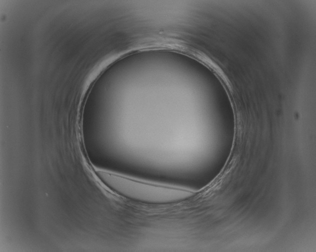 X0000074331485200608251008
