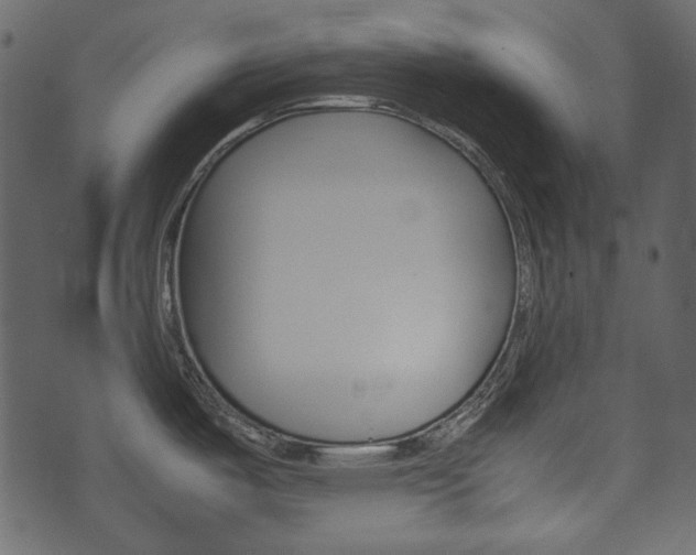 X0000074331487200608251008