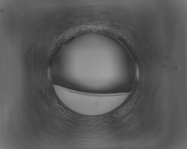 X0000074331492200608251007