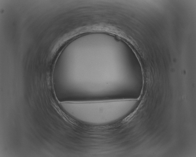 X0000074331499200608251007