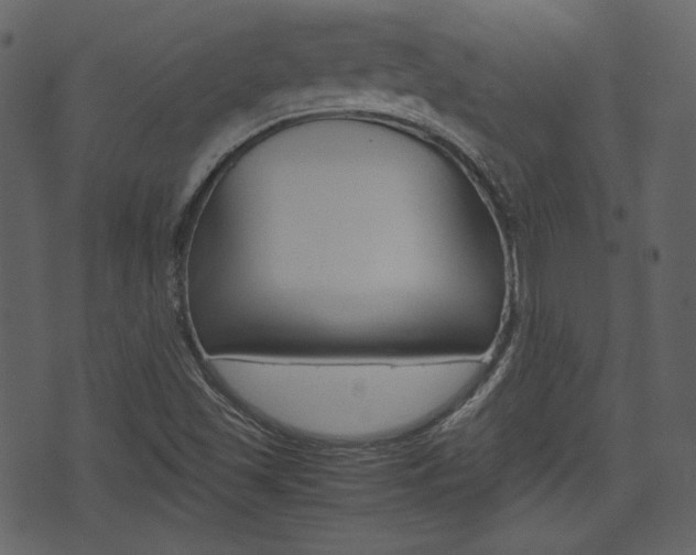 X0000074331501200608251007