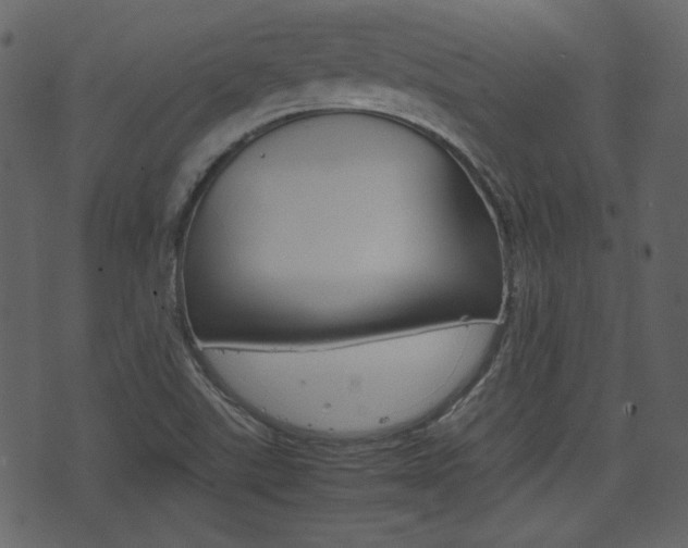 X0000074331507200608251007