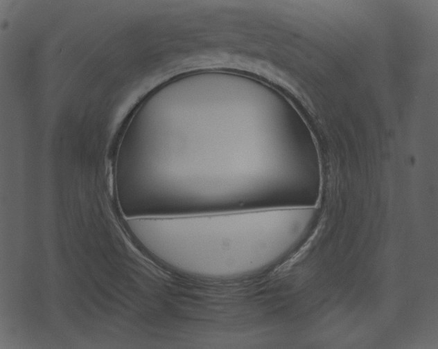 X0000074331509200608251007