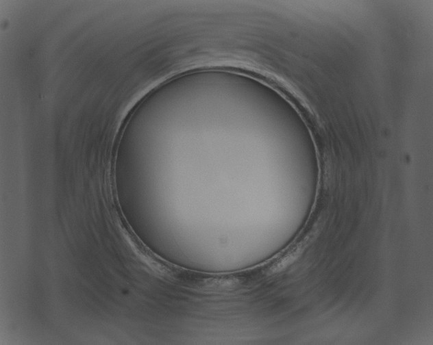 X0000074331513200608251007