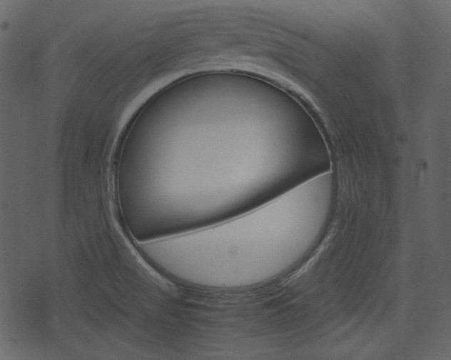 X0000074331517200608251007