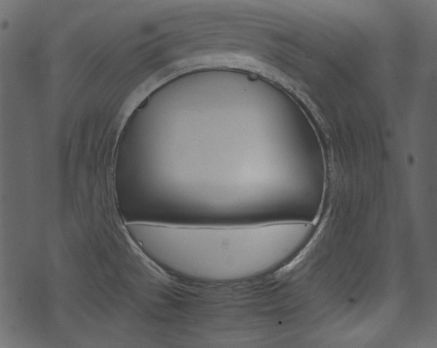 X0000074331529200608251007