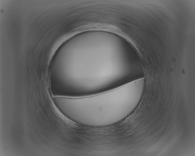 X0000074331531200608251007