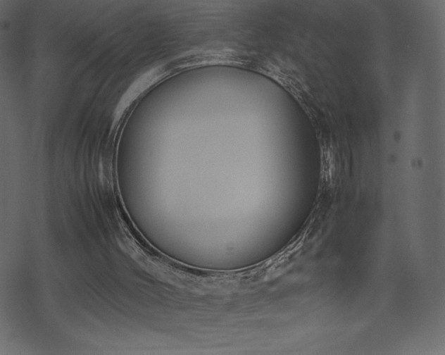 X0000074330004200608251337