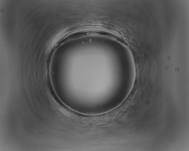 X0000074330005200608251337
