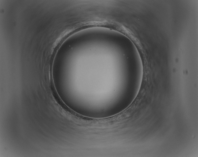 X0000074330011200608251337