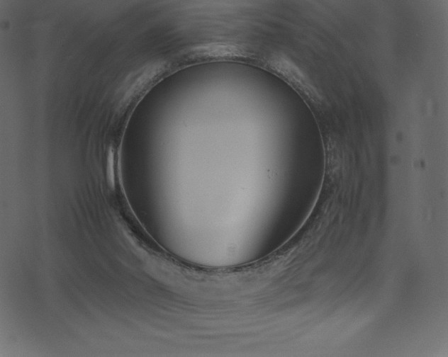 X0000074330014200608251337