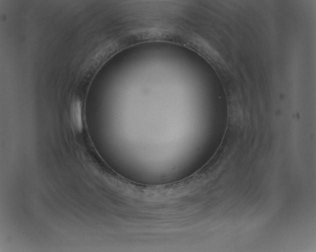 X0000074330022200608251337