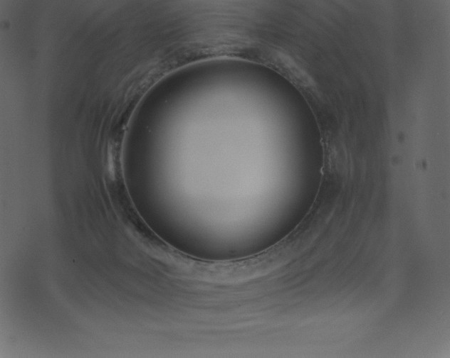 X0000074330026200608251337