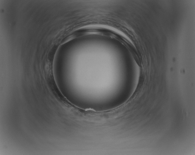 X0000074330029200608251337