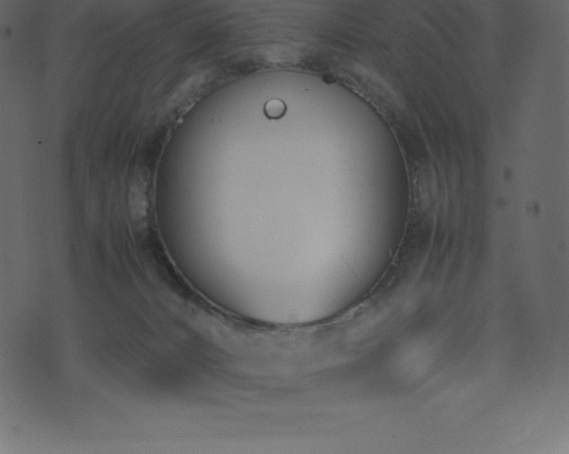 X0000074330032200608251337