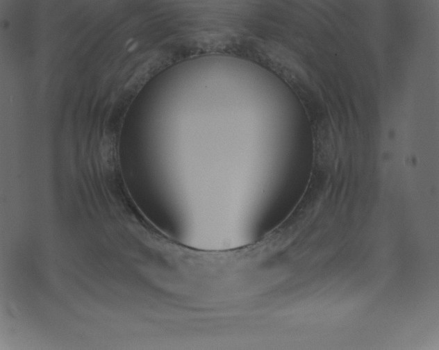 X0000074330034200608251337