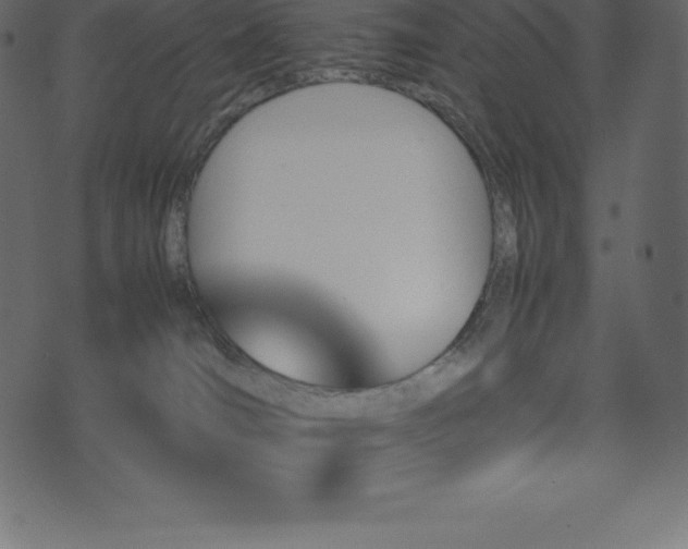 X0000074330036200608251337