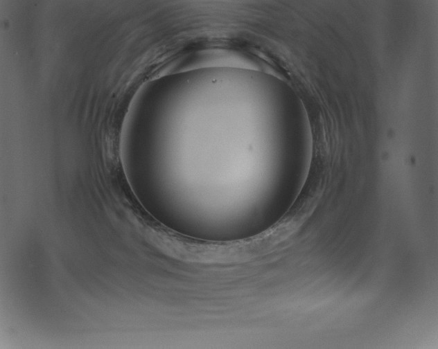 X0000074330044200608251337