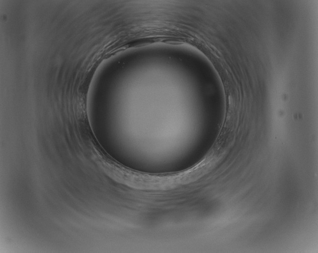 X0000074330048200608251337