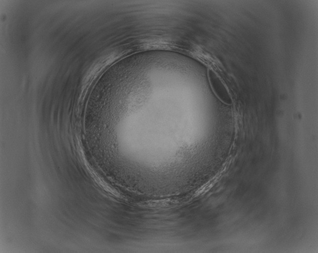 X0000074330049200608251336