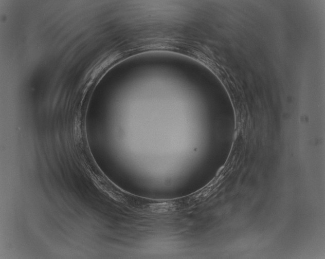 X0000074330050200608251336