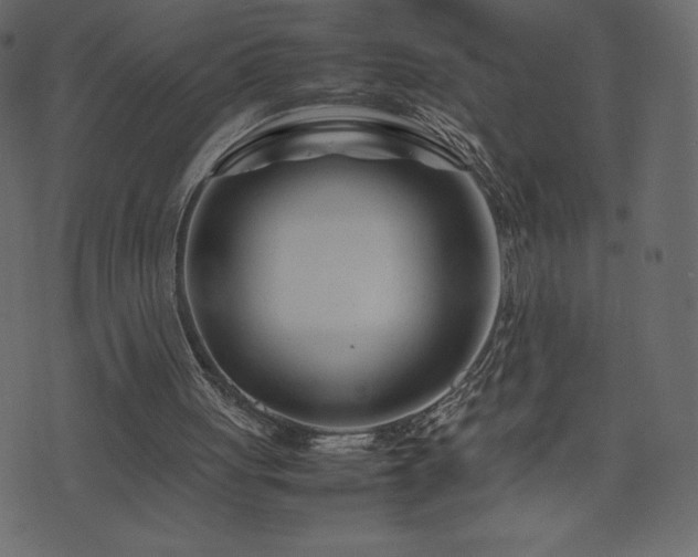 X0000074330051200608251336