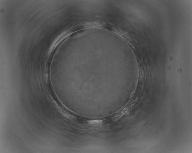 X0000074330053200608251336