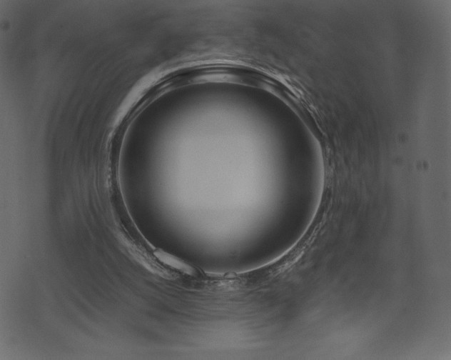 X0000074330056200608251336