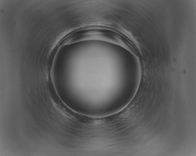 X0000074330060200608251336