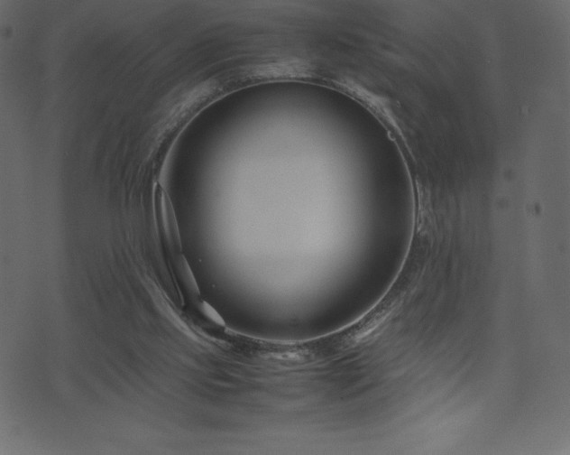 X0000074330061200608251336