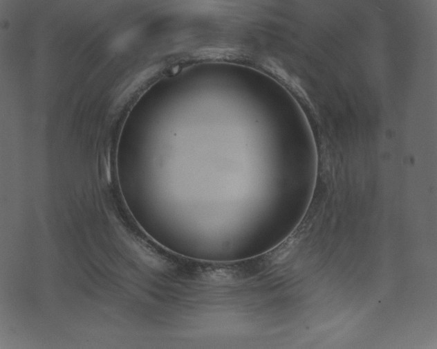 X0000074330062200608251336